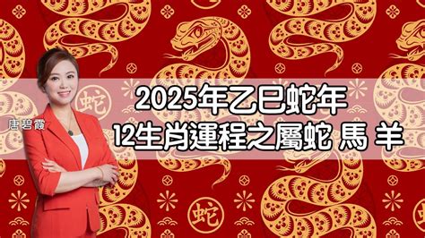 數蛇|屬蛇/馬/羊生肖運程2025｜蛇年屬蛇情緒易不穩、屬羊比較平